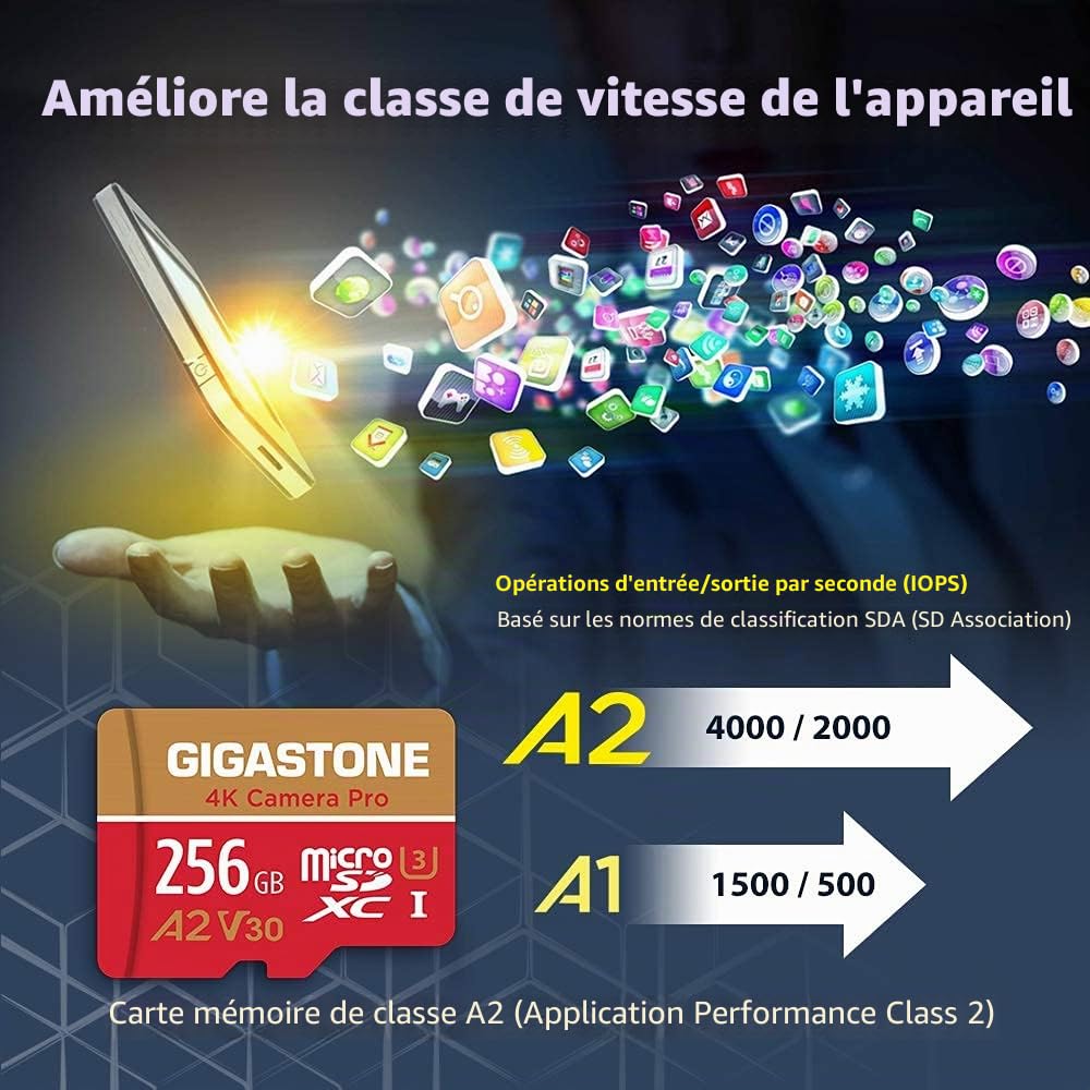 [5 Ans Récupération de données Gratuite] Gigastone Carte Mémoire 256 Go Lot de 2 Cartes, 4K Caméra Pro, Compatible avec GoPro Switch, Vitesse 100 Mo/s. A2 U3 V30 Carte Micro SDXC avec Adaptateur SD.