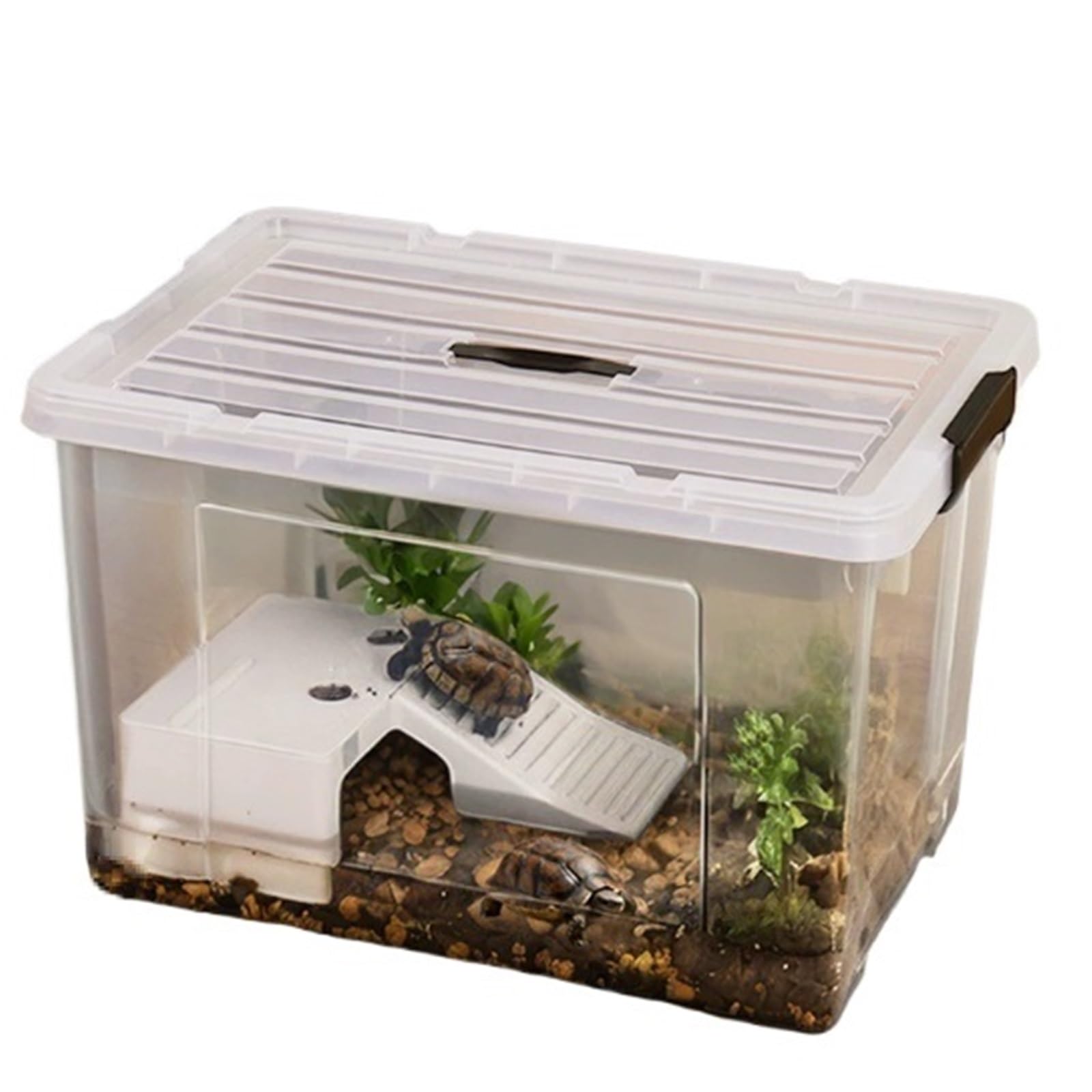 Siedlisko terrarium Pudełko obrotowe dla żółwi Zbiornik do karmienia Stół suszenia na słońcu, przezroczysta osłona taśmy Terrarium akwariowe(XS)