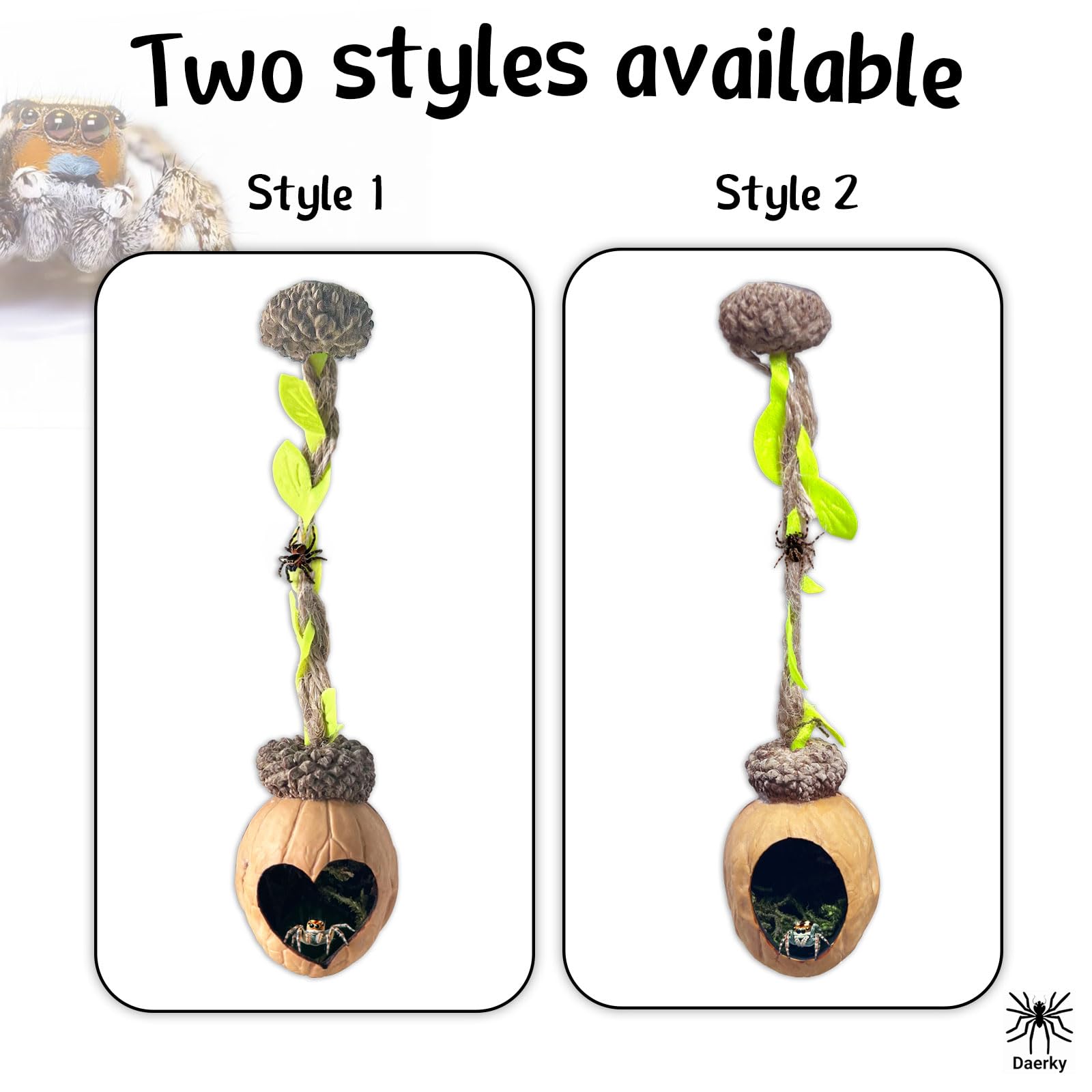 Jumping Spider Hide, A Real Shelter Made Of Natural Materials