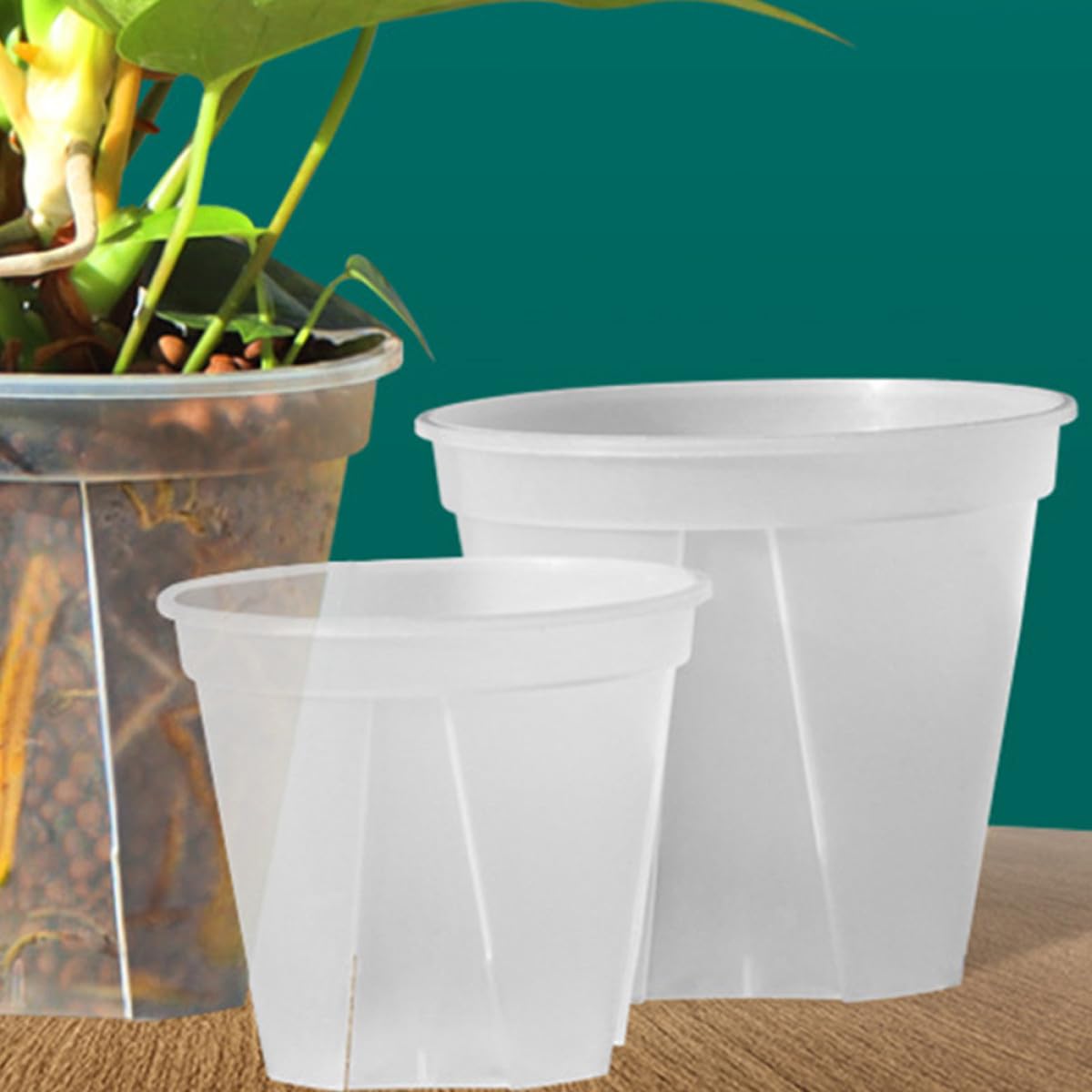 Tofficu Durchsichtige Pflanztöpfe aus Kunststoff mit Belüftungslöchern 2 Stück Stabile Orchideen Blumentöpfe für Garten und Indoor Pflanzen