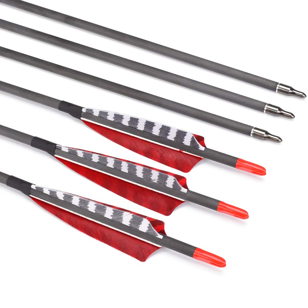 Extensión al Aire Libre 6/12 PCS 30 "Arco Compuesto, Flecha de Caza de Carbono Puro, Columna Vertebral de Tiro 700, con 100 Tornillos, 4" Pluma de Pavo