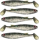 🐟 Länge: 10cm, Gewicht: 8 Gramm