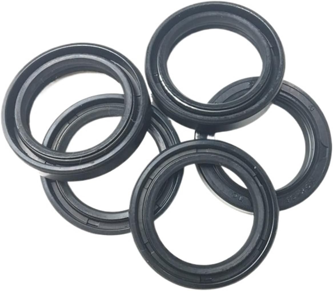JOLAU 10PCS TC Tape Skeleton Oil Seal 13x25x7 14x25x7 14x30x7 14x30x5/7/8/10mm Radial Shaft Seals NBR Gaskets Nitrile Rubber Oil Seals(Size:13x25x7mm)