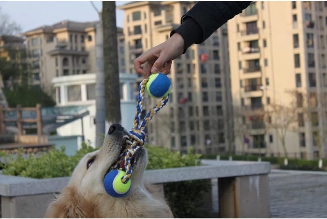 U/D Dog Puppy Toys for Small Dogs Suction Cups 14 Pack