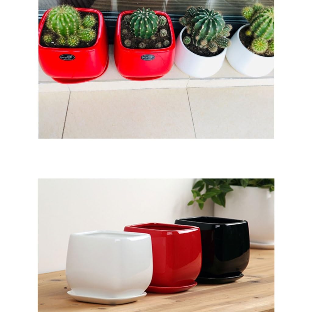 REIK Doniczka do sadzenia prosta nordycka wewnętrzna kreatywne sukulenty biuro biurko ceramiczna doniczka z tacą doniczka na rośliny do wnętrz (kolor: B, rozmiar: S)