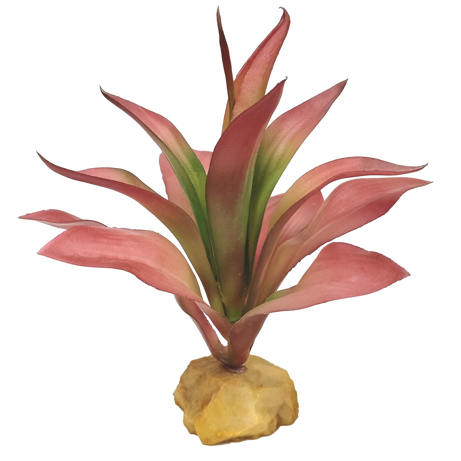 Woyrise Reptile Plants Succulent, Artificial Desert Plant for Terrarium Decor, Bearded Dragon Tank Accessories fit Gecko Lizard Chameleon Ball Python Snake - Guzmania lingulata