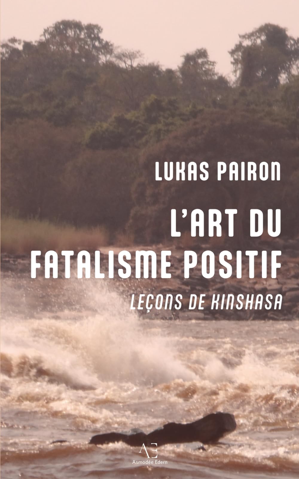 L'Art du fatalisme positif: Leçons de Kinshasa