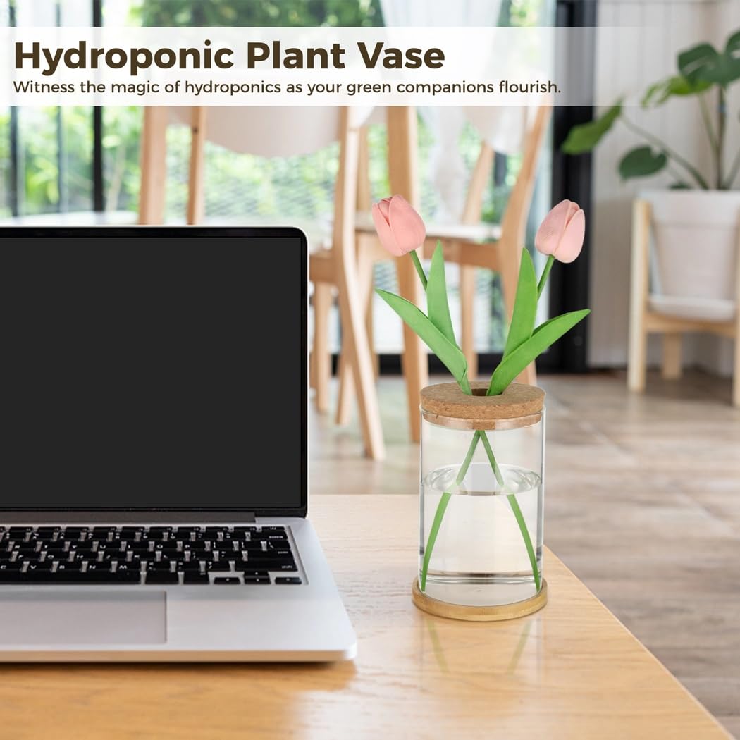 Lot de 3 vases en Verre, Stations de Propagation de Plantes hydroponiques, avec Soucoupe en Bois, vases de Plantation avec Couvercle, pour déco Bureau, Maison et Jardin