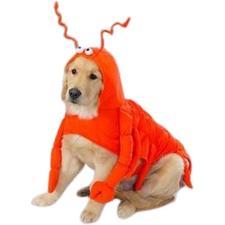 Oversized Lobster Paws Dog Costume