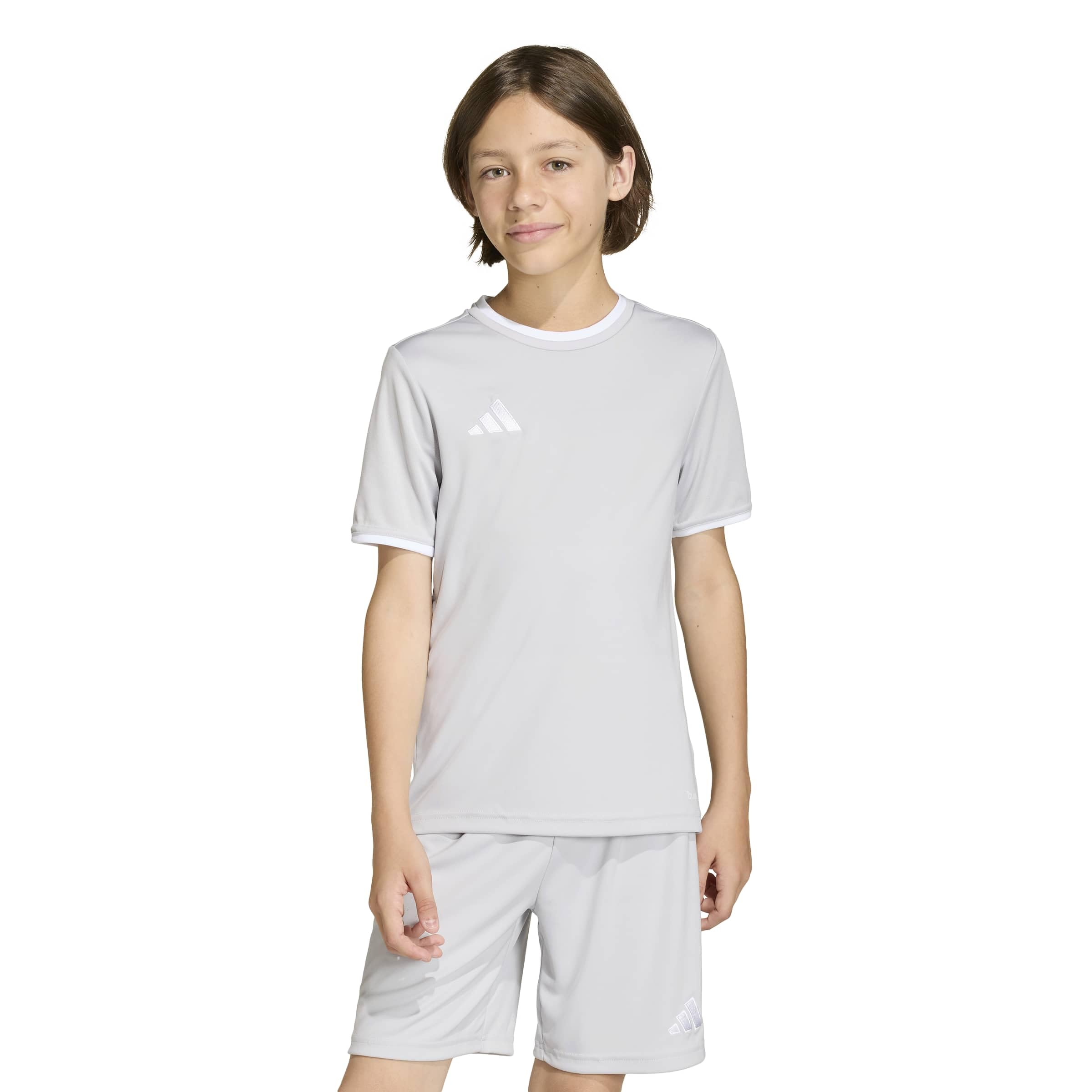 adidas Unisex Kids Entrada26 Jersey Kids Shirt, Team Light Grey/White, 11-12 Years