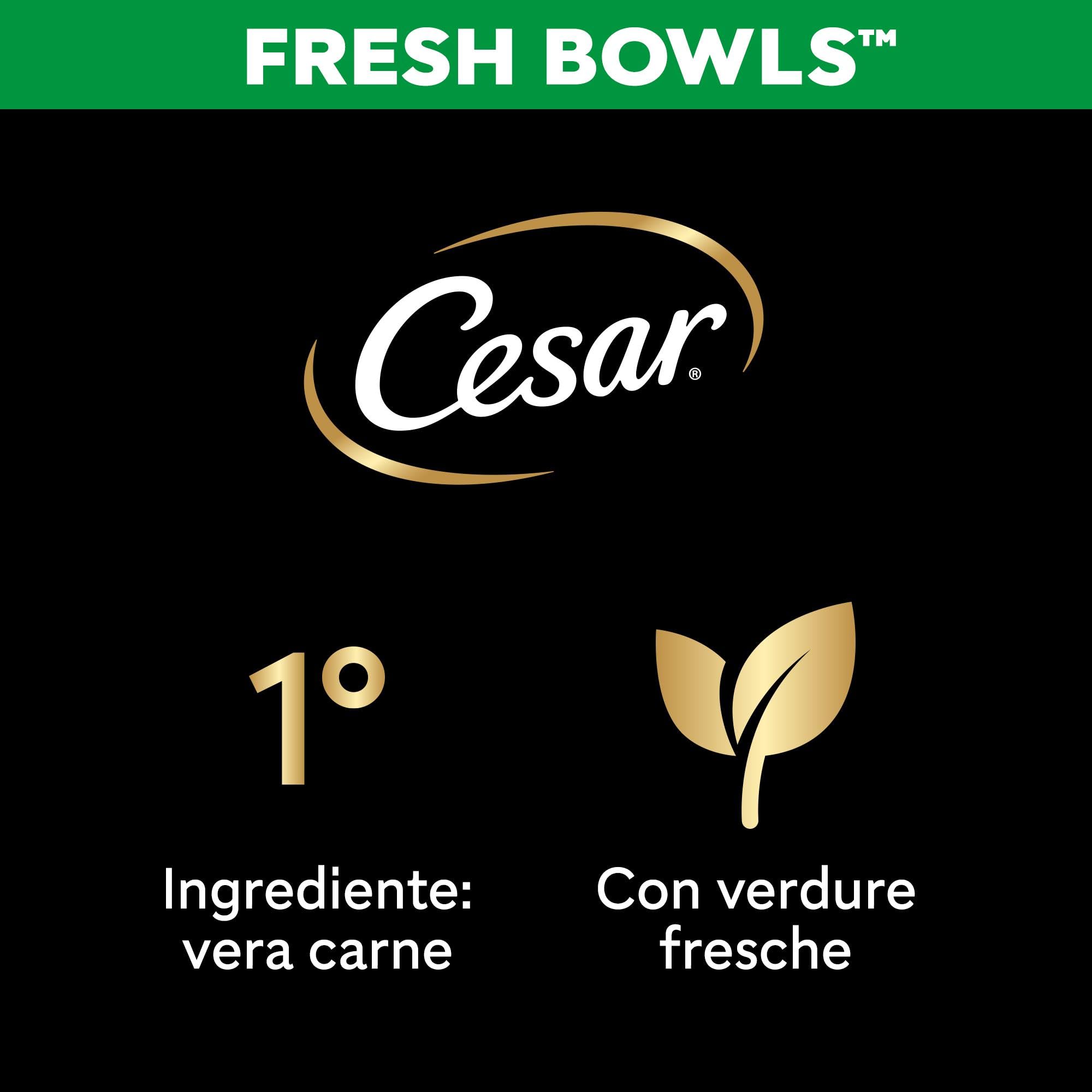 CESAR Fresh Bowl Cani Adulti Pollame con Riso, Fagiolini, Zucca Salsa 85g, 10 Confezioni