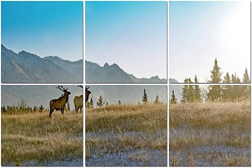 Paquete de 6 paneles acústicos artísticos, dos bull elk Banff National Park autoadhesivos, absorbentes de sonido e insonorizados, tratamiento