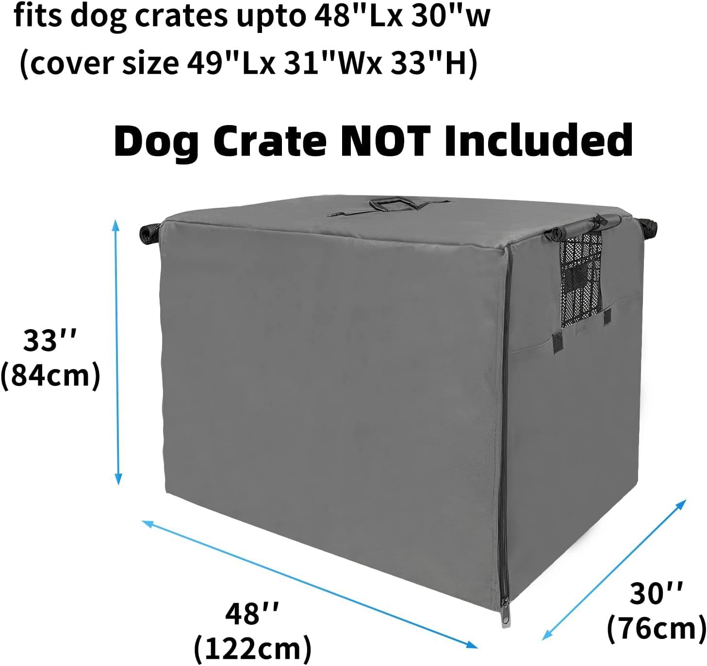 Transform Your Dog