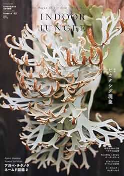 【まとめ売り】INDOOR JUNGLE インドアジャングル　1.2.3.4 INDOOR JUNGLE Issue.06 ｜ エムピージェー