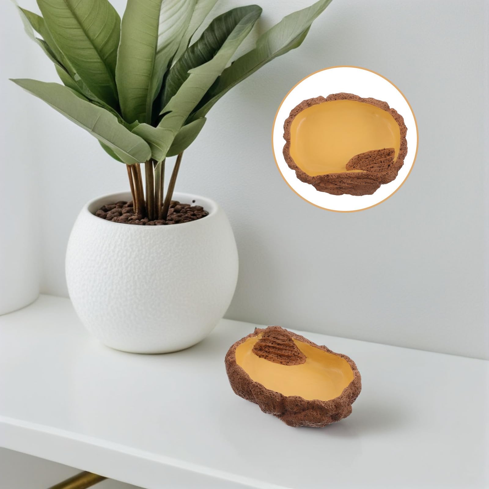 Toyvian Ciotola Angolare per Terrario in Resina Design Unico, Facile da Pulire, per Rettili e Anfibi Come Lucertole e Rane, Stile Naturale e Realistica