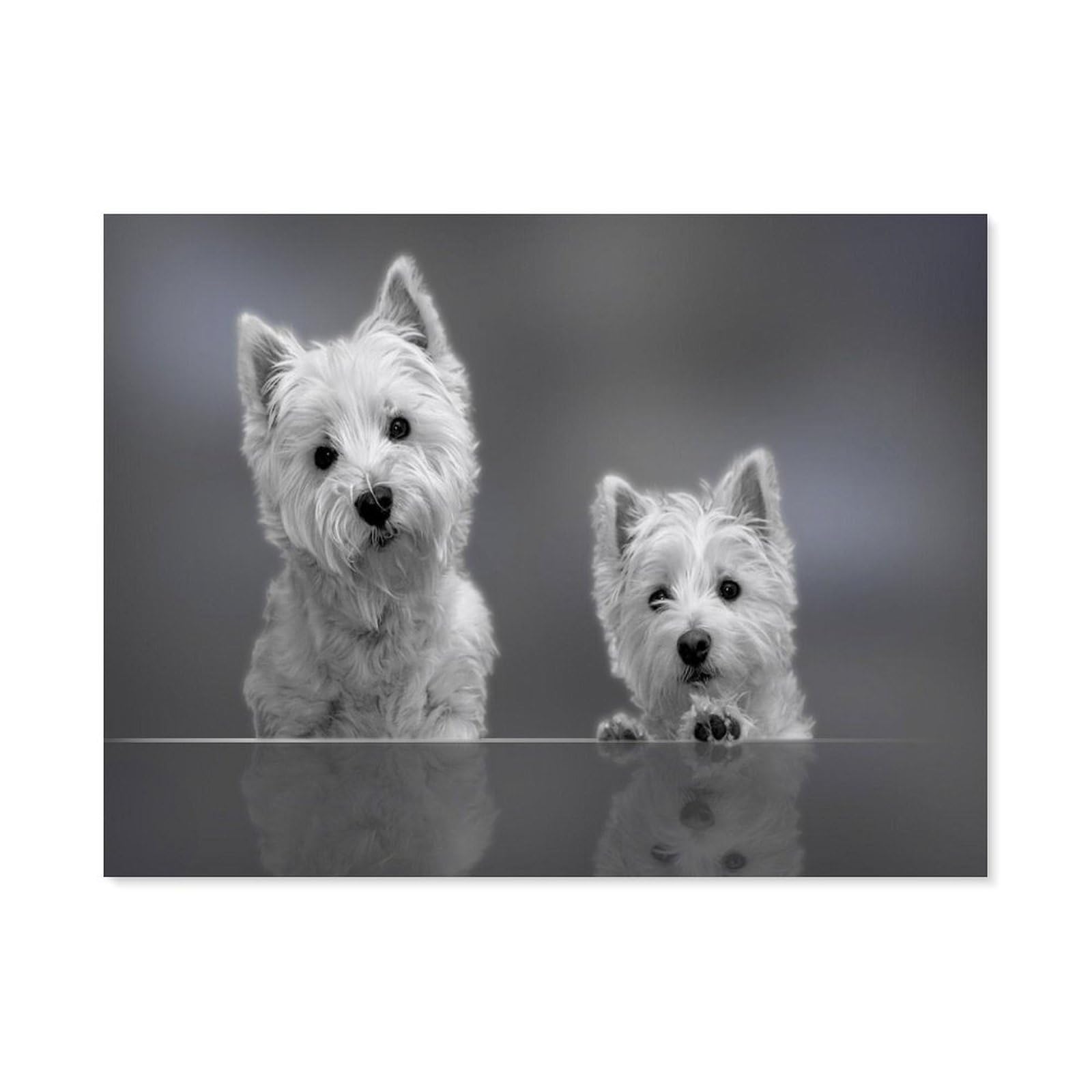BEAYODKP Paint by Numbers for Adults,West Highland White Terrier Puppy,DIY Oil Painting Paint by Number Kits Linen Canvas Wall Art House Decor(20x30cm) 7.8x11.8 inches-F14 — image 1