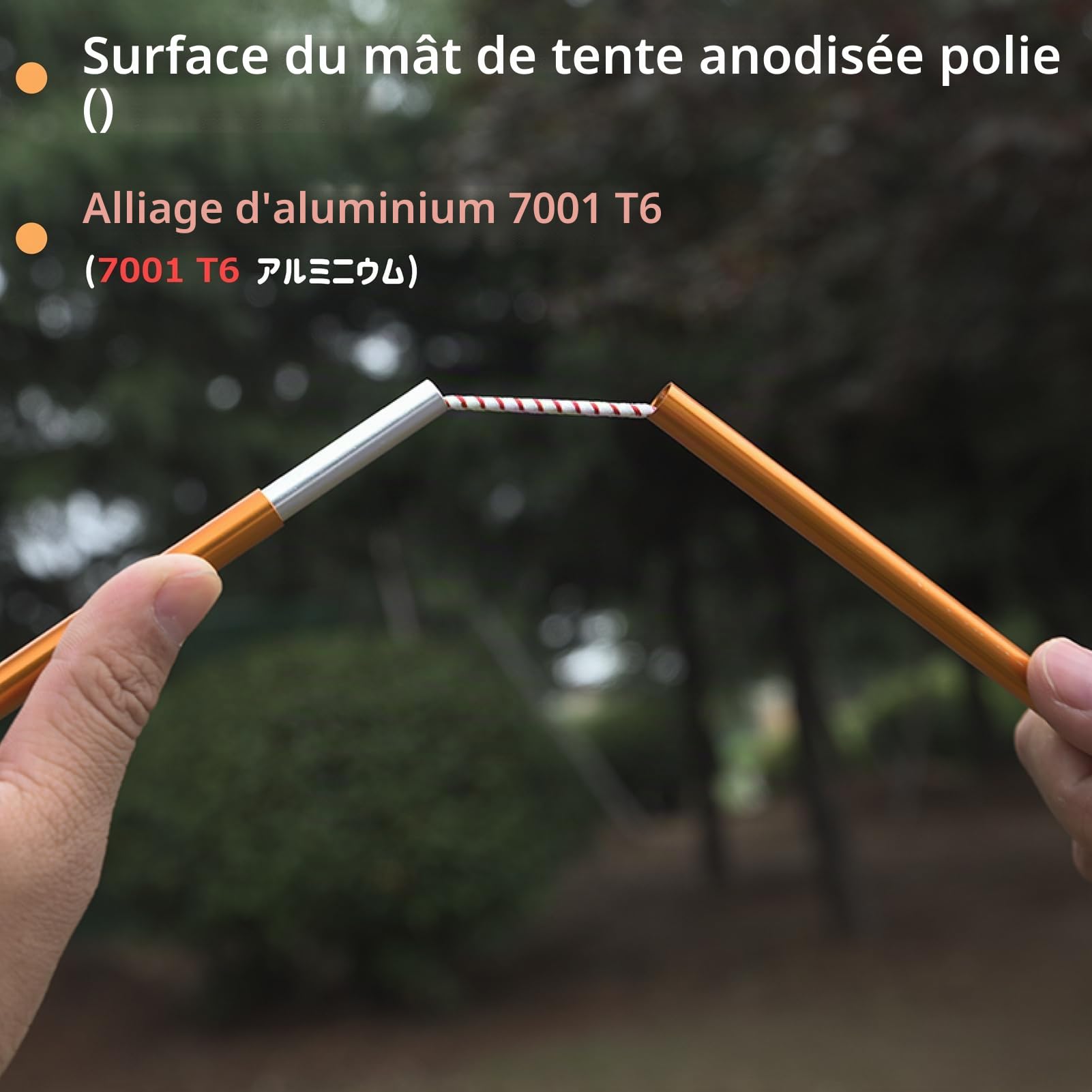 Azarxis Arceaux de Tente 2 Pièces Poteaux de Tente Mât Barre Tige de Support Pliantes pour Camping Randonnée