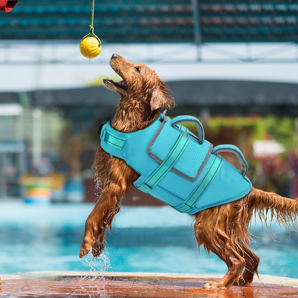 EMUST Dog Life Jacket, Thickened Dog Life Vests for Medium Large Dogs with Added Layer, Reflective Pet Life Preserver Floats for Pool Boating Swimming, Blue, M