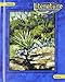 Literature: Texas Treasures, Course 1 (Glencoe Literature)