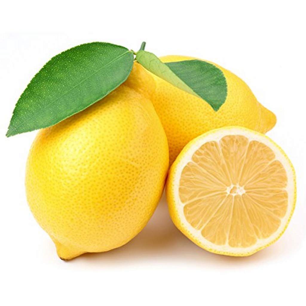 See full amazon price history chart for Creative Farmer Live Plant Lemon Seedless Grafted Rasaali Variety For Home Garden Plant(1 Healthy Live Plant) Creative Farmer Live Plant Lemon Seedless Grafted Rasaali Variety For Home Garden Plant(1 Healthy Live Plant) (B08P5SYS1H) Amazon Price History, Amazon Price Tracker