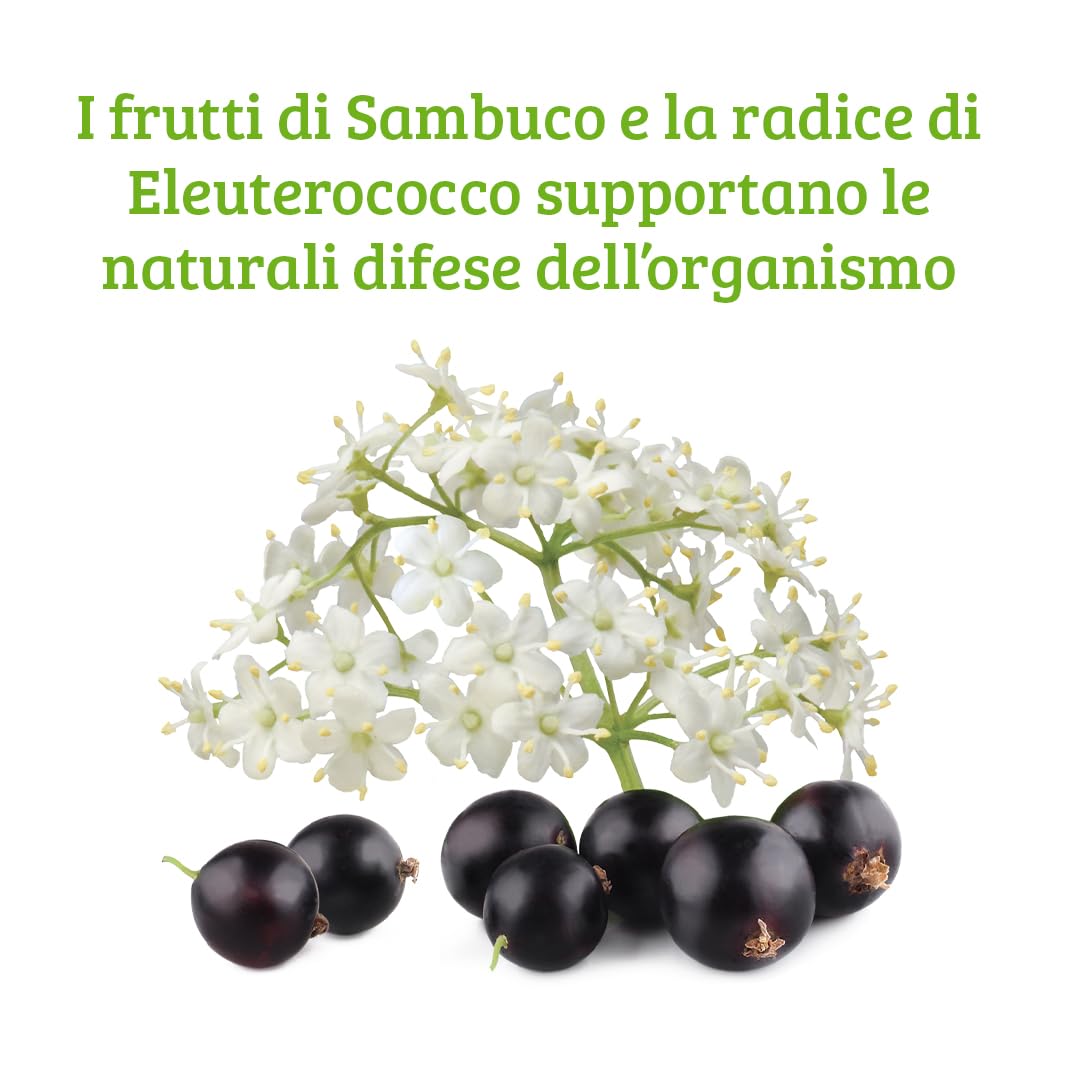 Colours Of Life Sambuco Formula - integratore alimentare a base di Sambuo ed Eleuterococco, aiuta a rafforzare le naturali difese dell'organismo, 60 compresse