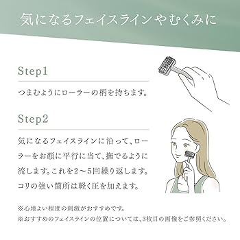 Amazon.co.jp: TEISIN 長柄ローラー（2WAY）×2個セットトワ