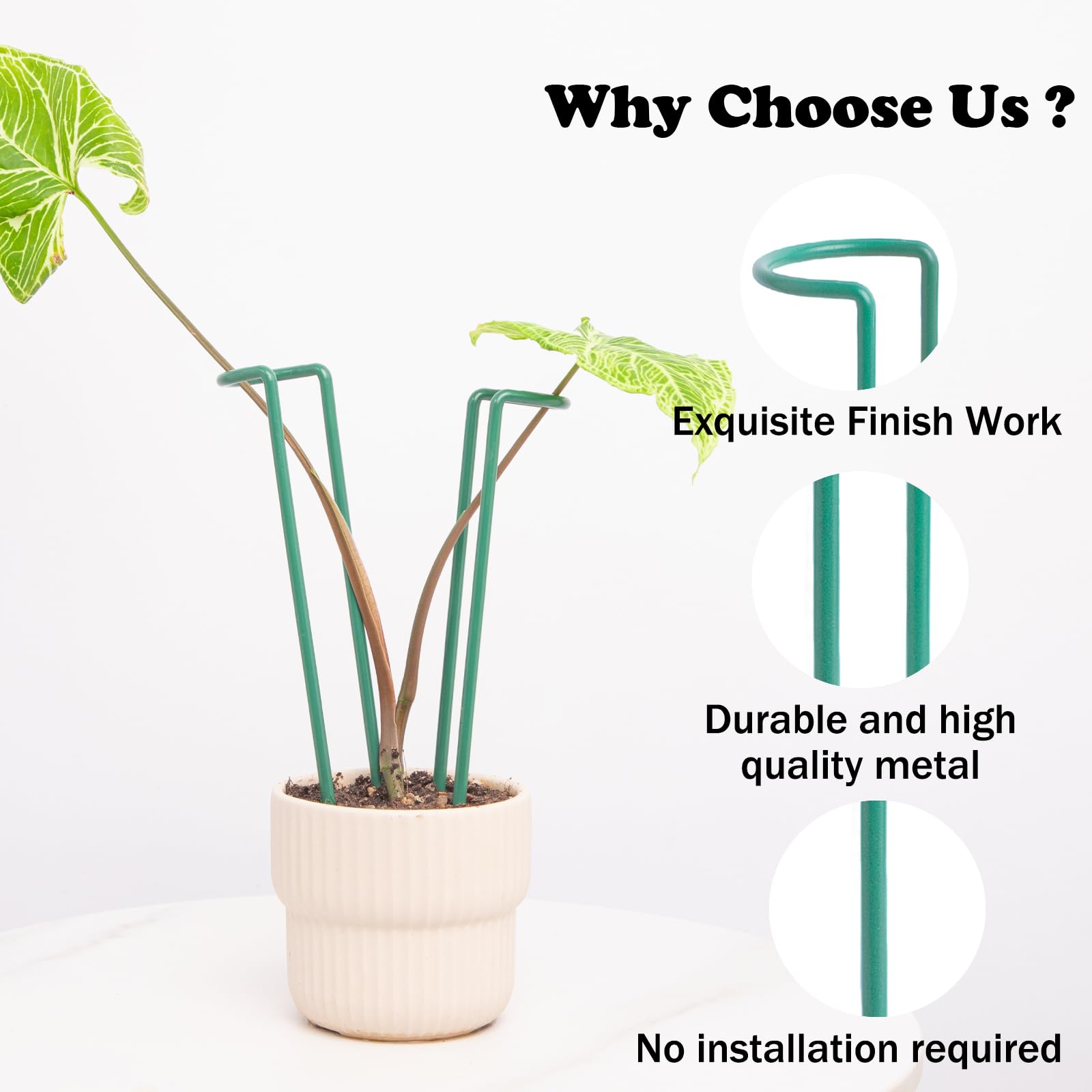 Lot de 10 piquets pour plantes d'intérieur – Support en fer durable en forme de U pour plantes Monstera et en pot, parfait pour les plantes grimpantes de petite et moyenne taille, idéal pour