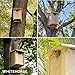 WHITEHORSE Large Cedar Owl House - Premium and Weatherproof Design - 16