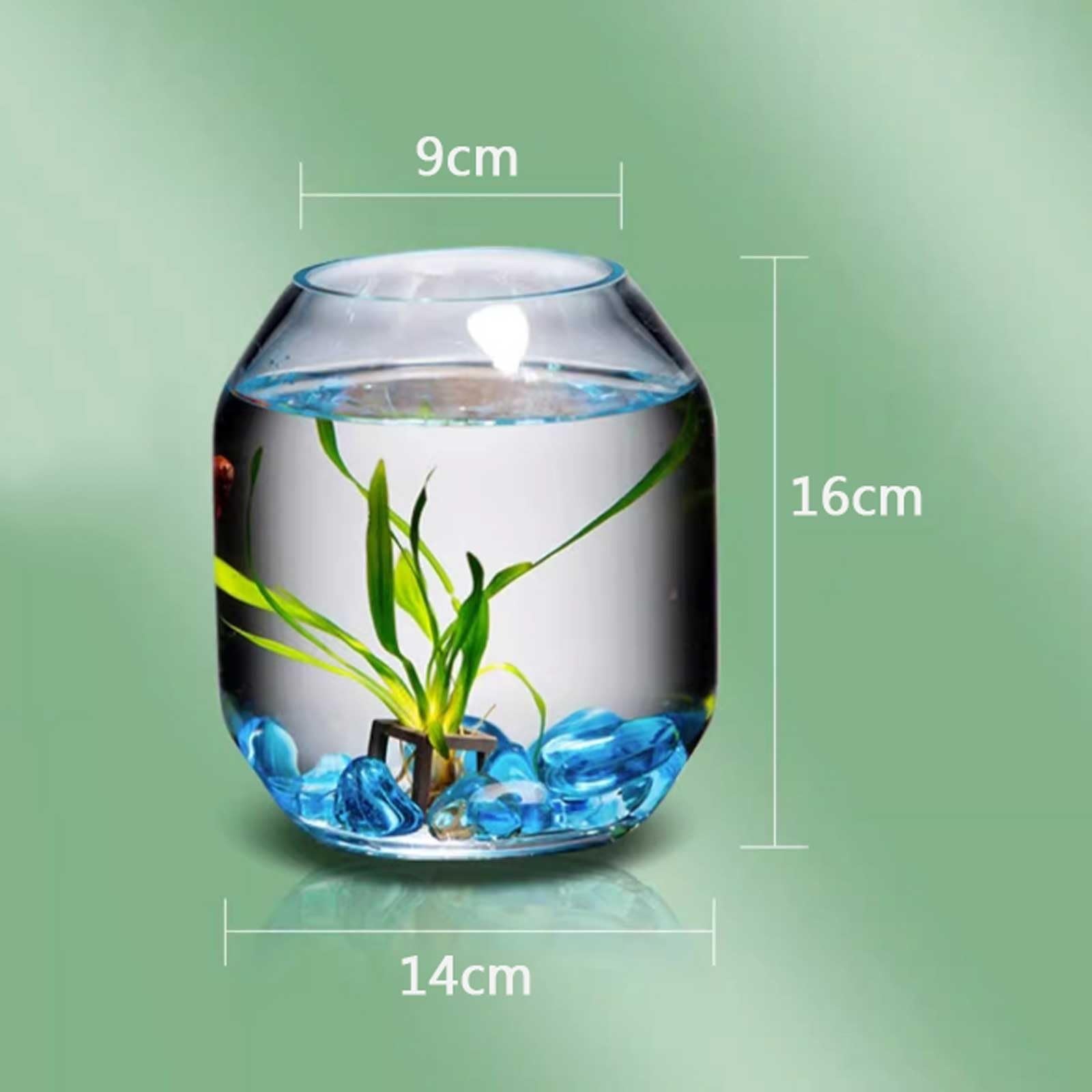 Boccia per pesci d'acquario Acquario for pesci in vetro trasparente for allevamento di piccoli Serbatoio for decorativo for soggiorno da tavolo Mini acquario