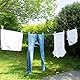 SOHFA 50m Wäscheleine - Made in Europe extra stark mit Stahlkern | Wascheleine für Haushalt, Garten und Camping | ca. 3mm Stahl Wäscheschnur