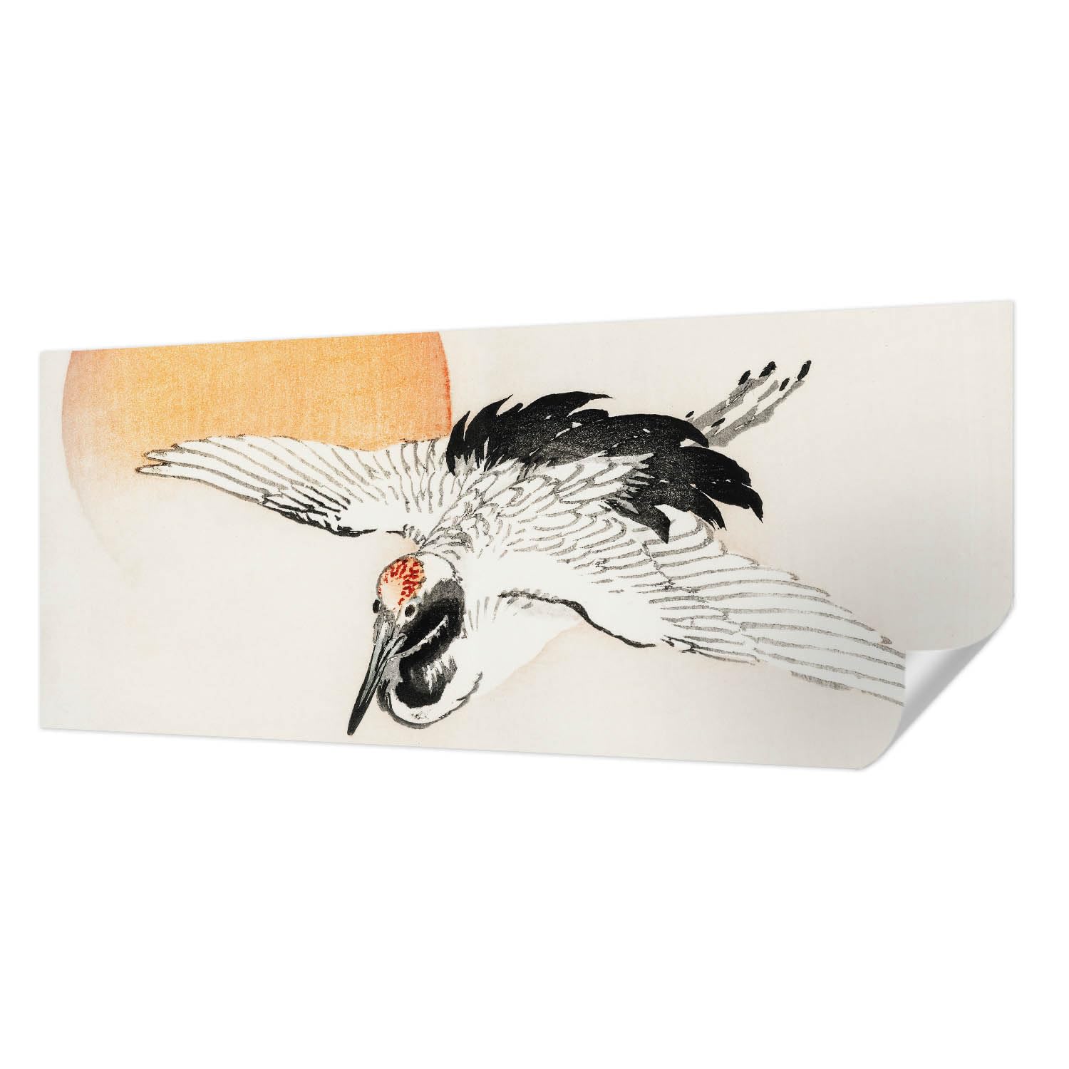 Papier peint autocollant panoramique pour décoration intérieure salon 250x104