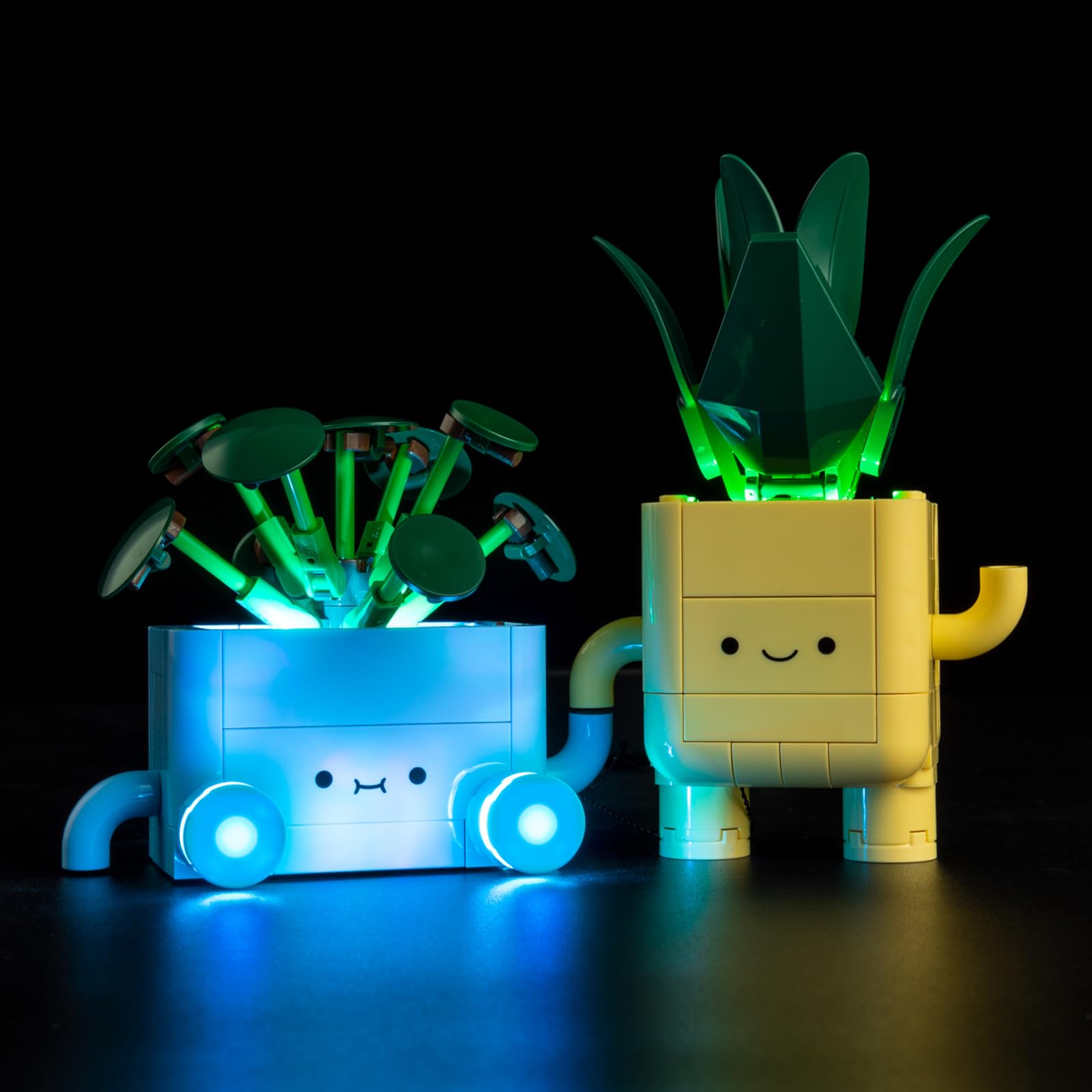 Kyglaring LED Lighting Kit Compatible with Lego Botanicals Happy Plants 10349 Building Blocks