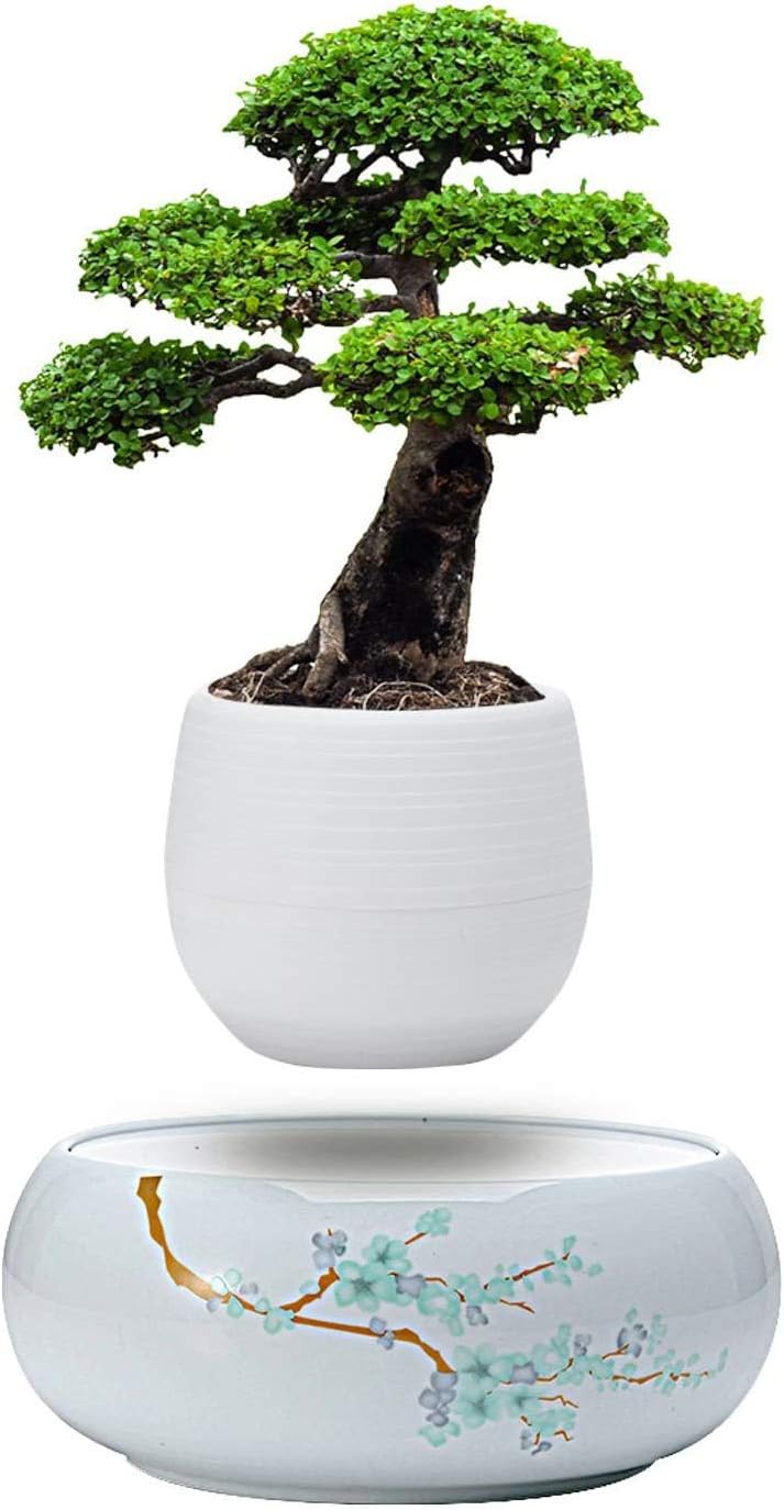Levitating Mini Plant Pot