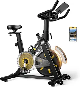 OWLSKY Exercise Bike with APP, Stationary Bike for Home, 300 lbs Capacity, Quiet Indoor Cycling Bike, Adjustable Seat & Tablet Holder
