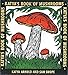 Katya's Book of Mushrooms