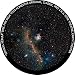 Seagull Nebula disc for Segatoys Homestar Pro 2, Classic, Original, Earth Theater Home Planetarium