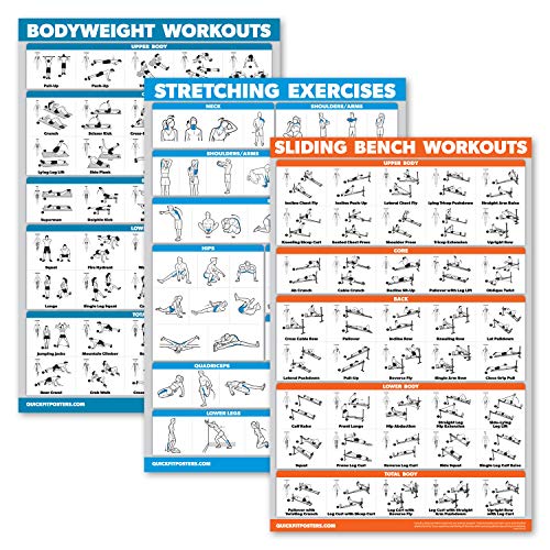 Palace Learning 3 Pack: Bodyweight Workouts + Stretching Exercises +
