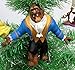 Beauty and The Beast Holiday Christmas Ornament Set - Unique Shatterproof Plastic Design