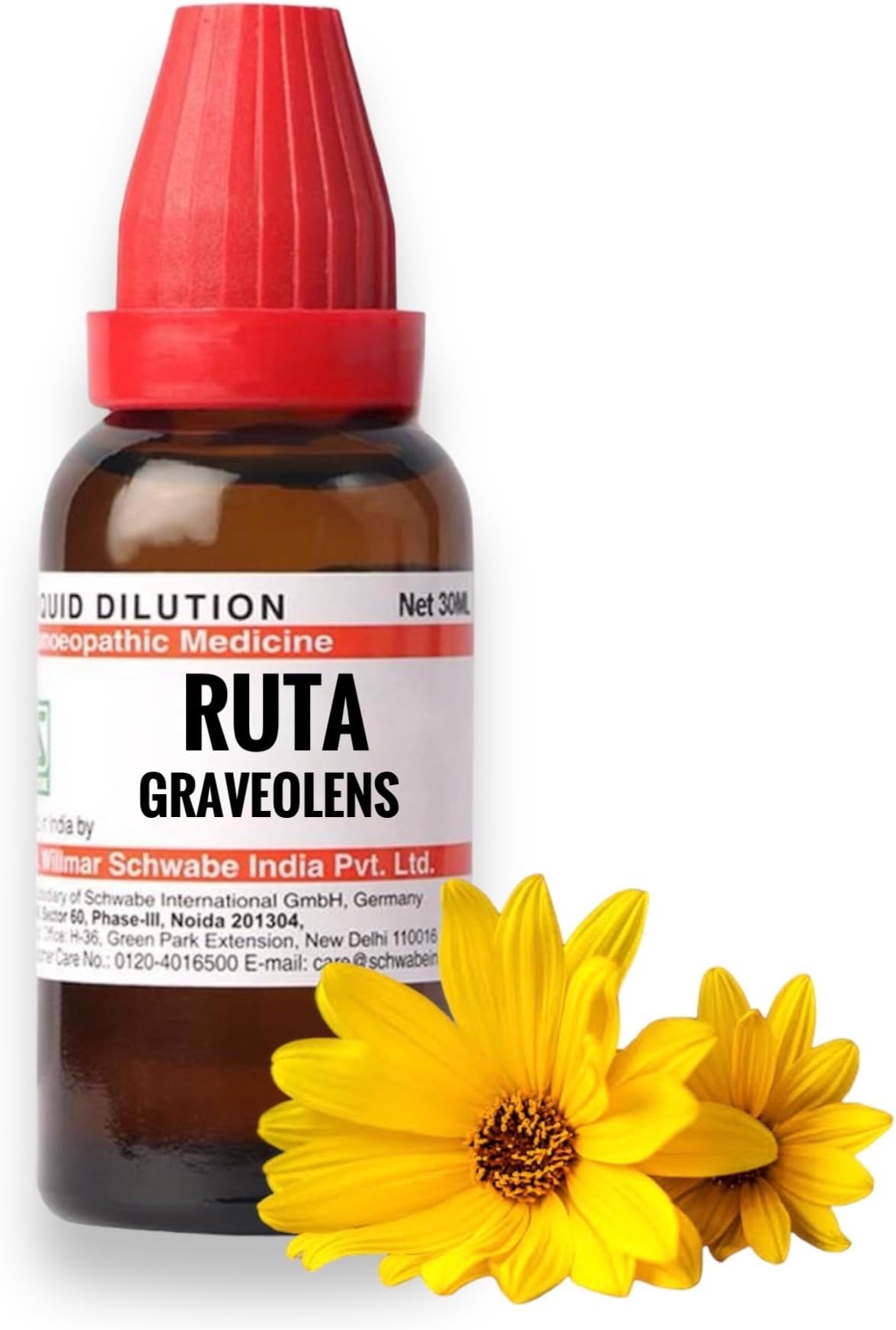 Willmar Schwabe Ruta Graveolens 30CH (30ml) - Set of 2 Bottle