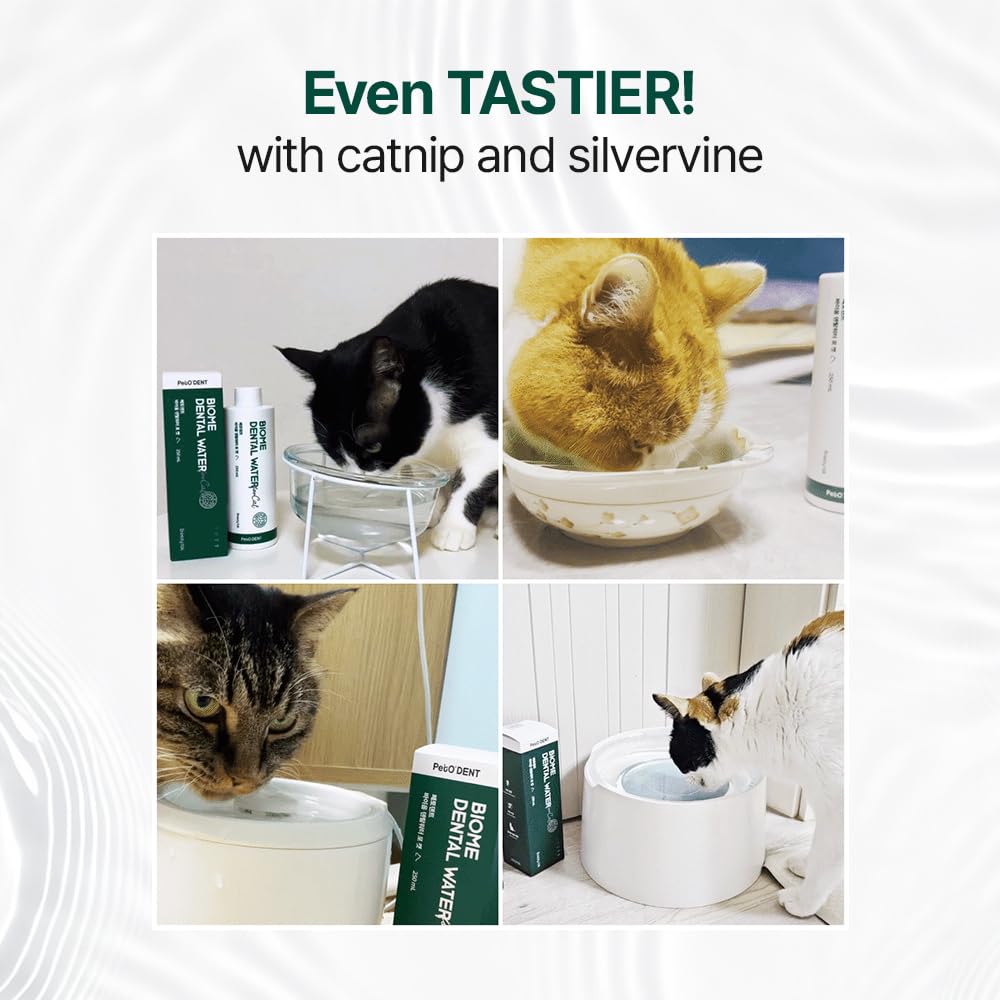 PetO’Dent Dental Water Additive for Cats–No Brushing Needed, Fresh Breath, Tartar Control & Gum Care with Catnip & Silvervine Extracts, 8.45 fl oz / 250ml - image 3