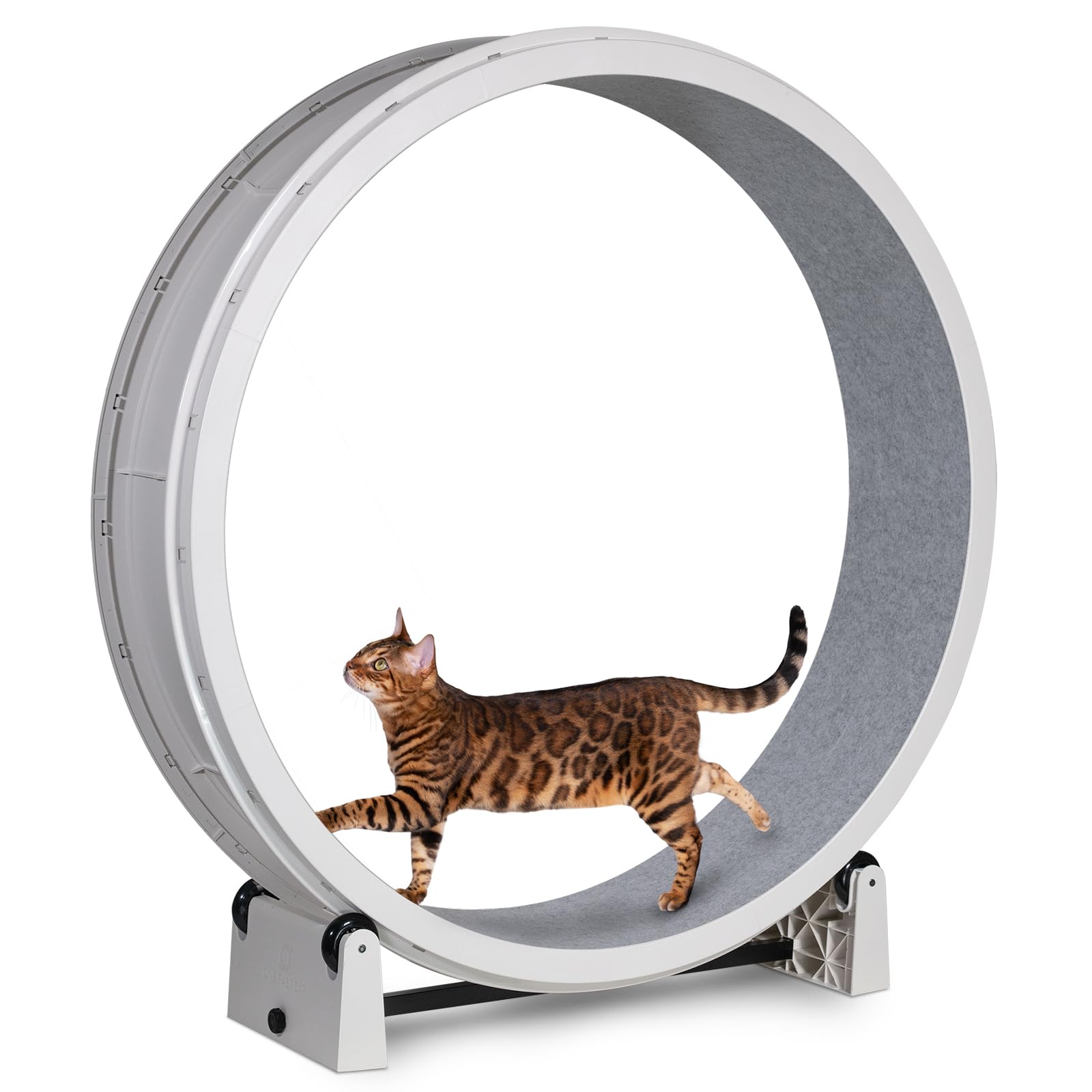 専用　キャットホイール　ONE　FAST　CAT Amazon.com : One Fast Cat - Cat Exercise Wheel - Gen. 7