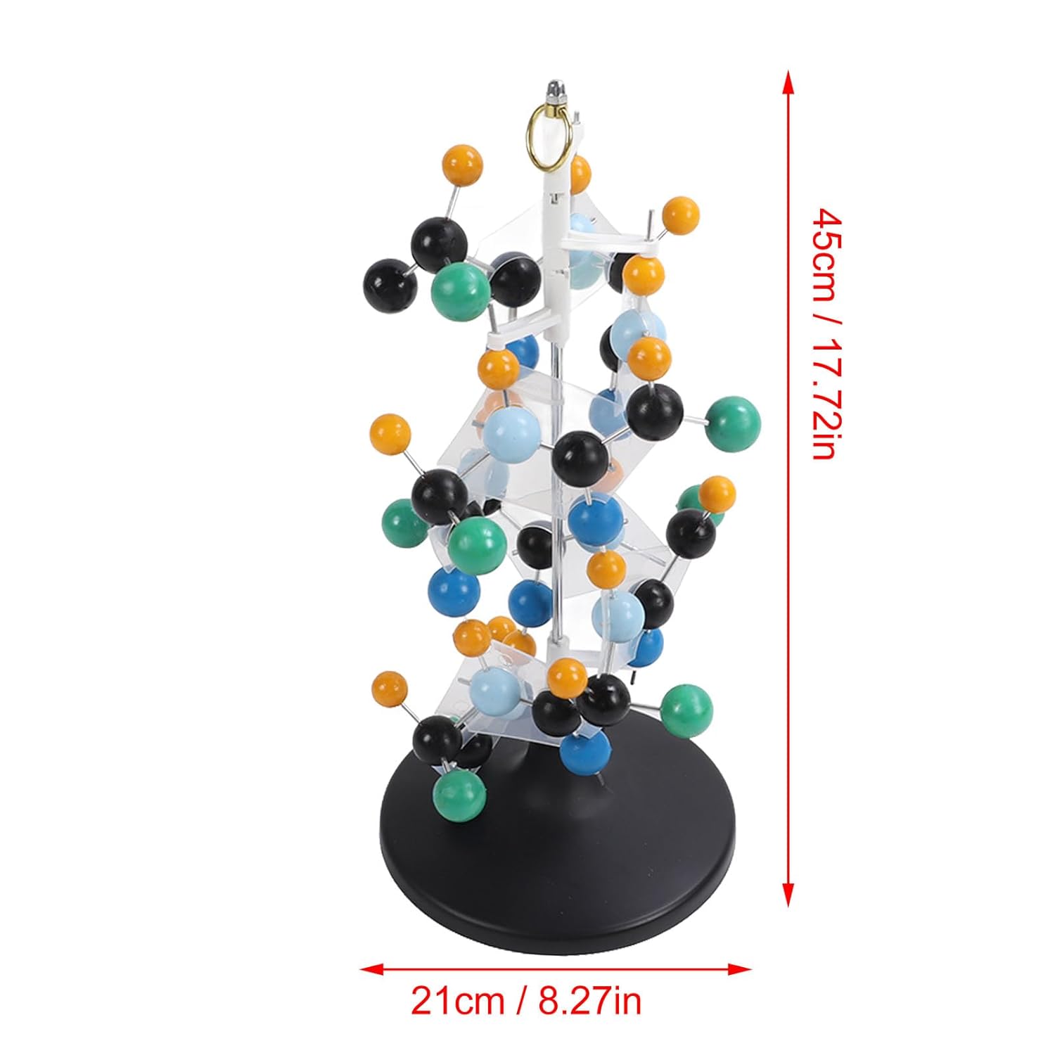 Protein Molecular Model Bright Colors 3D Modeling for Classroom School