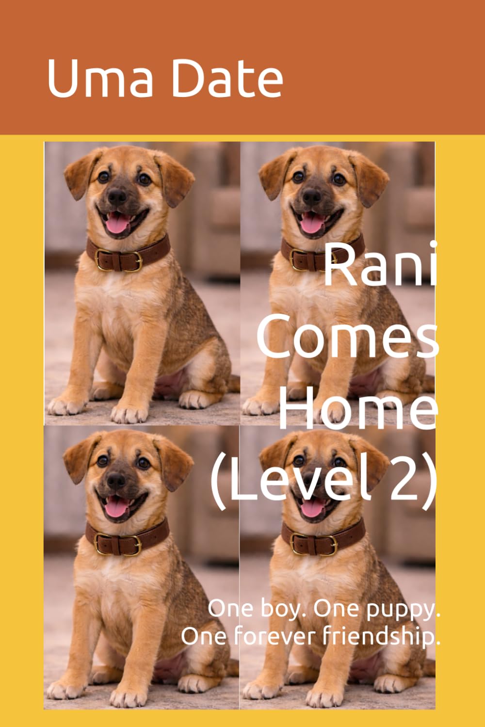 Rani Comes Home (Level 2): One boy. One puppy. One forever friendship. (Adventures Of Rani And Zoe)