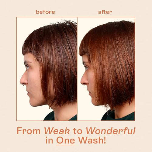 Miniatura 4 de Rosemary Solid Shampoo & Conditioner Set  Para el adelgazamiento del cabello y el control del encrespamiento  Vegano, sin sulfatos, ecológico