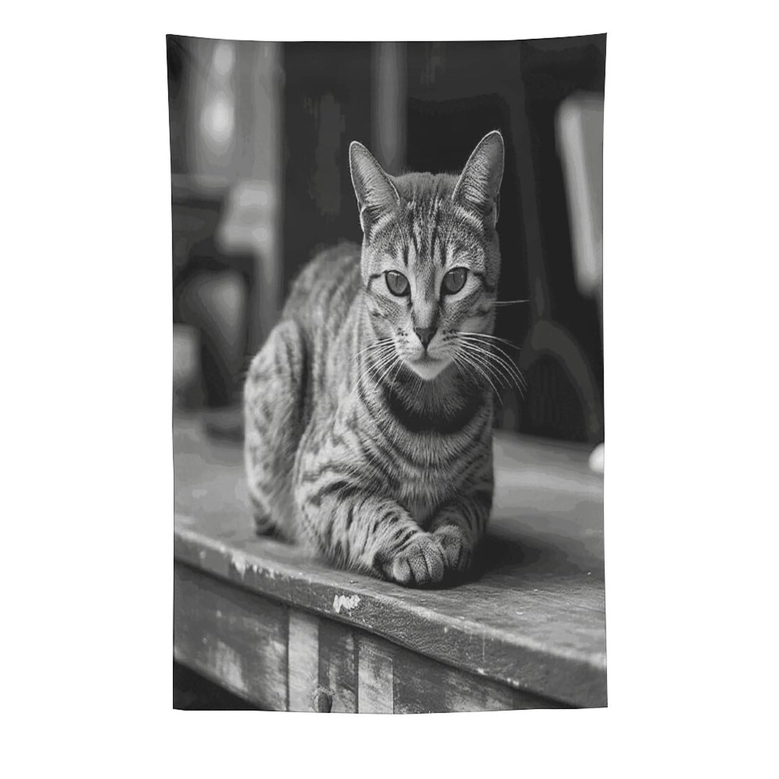 MUSM A Gray Cat Tapestry with Installation Kit Personalized Wall Tapestry Aesthetic Tapestries Backdrop Banner Wall Art Hanging Decor for Home Picnic Beach Blanket 60"x90"