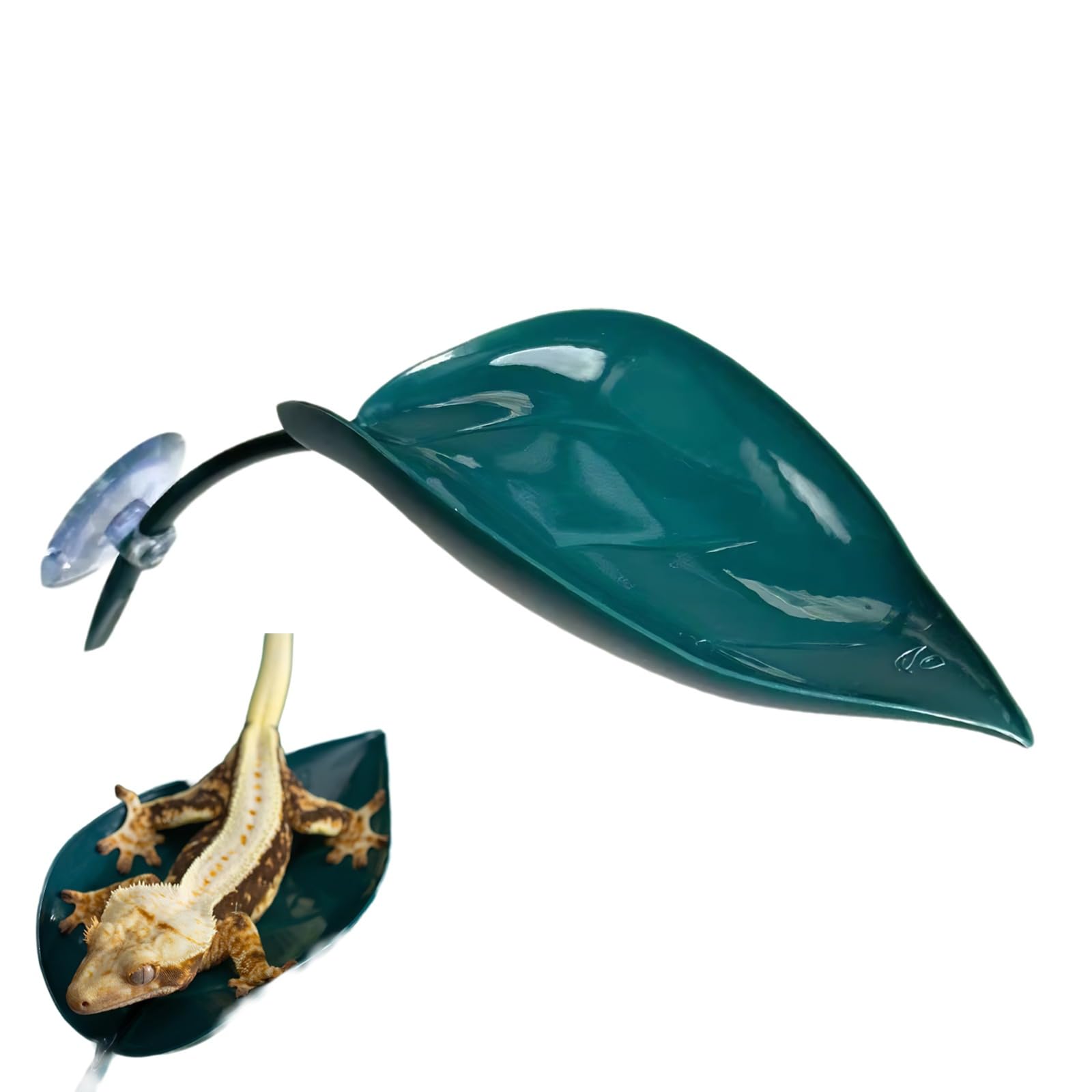 Gecko Tank Accessories for Leopard/Crested/Tree Frog Terrarium Decor(Dark Green)