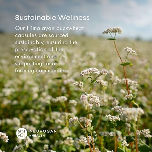 Miniatura 7 de Neurogan Cápsulas de trigo sarraceno tartario del Himalaya (HTB) - 1440 mg por porción, suministro para 60 días, sin gluten, veganas, probado en