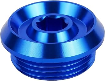 Motorcycle Engine Timing Check Crankshaft Camshaft Cover Plug Compatible with S1000RR 2009-2018 S1000R 2013-2018 1000XR 2014-2018 HP4 2012-2015Blue