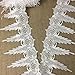 2 Yards, Holiday Amaryllis Fringe Venice Lace Trim, White, 6"