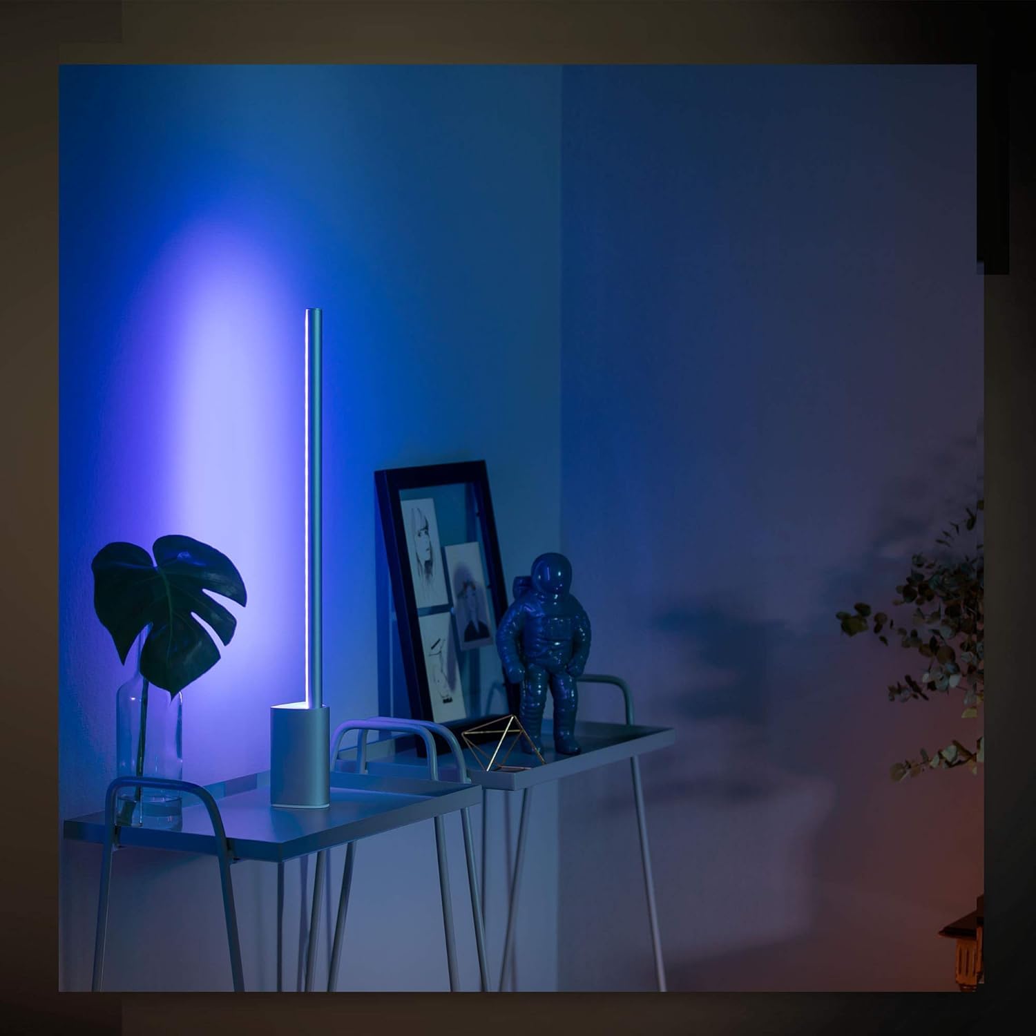 Amazon.co.jp: Philips Hue ホワイト&カラー アンビアンス サイン